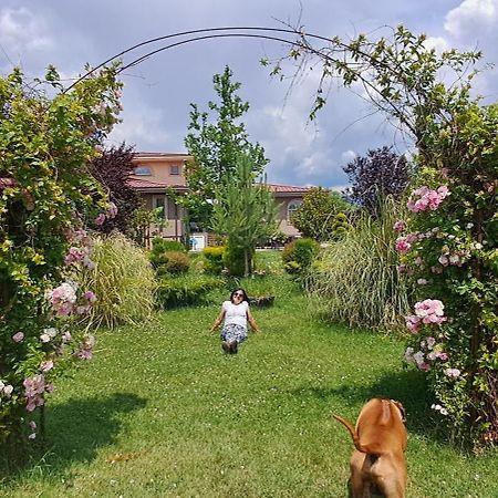 Green Villa Rodna Skopje Zewnętrze zdjęcie